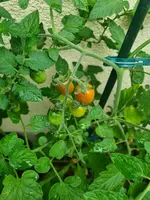 20230701_093013.webp