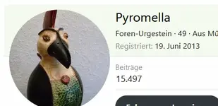 pyro.webp