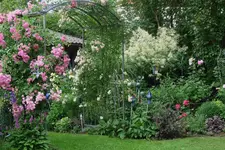 Juni     9923.JPG n.webp