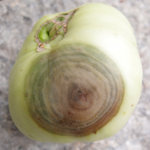 Schadbild 1.jpg