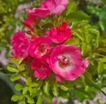 20230701_143702.webp