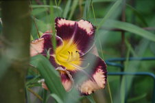 DSC00703.JPG