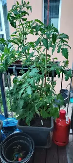 20230701_200908.webp