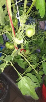 20230701_200925.webp