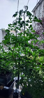 20230701_201111.jpg