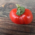 IMG_6455.jpeg