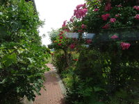 DSC03068.JPG