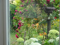 DSC03070.JPG