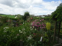 DSC03073.JPG