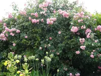 DSC03076.webp
