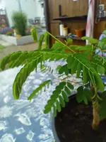 IMG20230701204529.webp