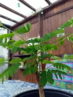 IMG20230701204617.webp