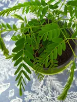 IMG20230701204634.webp