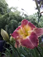 20230701_191933.webp