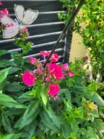20230702_095638.webp