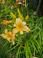 20230702_122814.webp