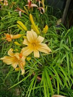 20230702_122814.jpg