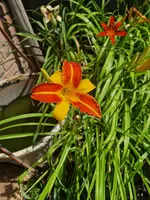 20230702_122750.webp
