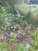 20230630_072650.webp