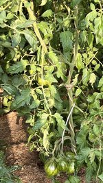 IMG_6480.jpeg