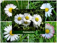 Dankeschoen Gruss  (1) - Copy - Copybt.webp
