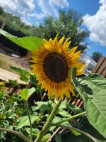 20230627_162658.jpg