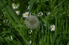 DSC_0419.webp