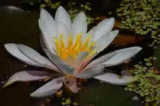 DSC_0567.webp