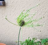 2021_06_26_Lauch_01.jpg
