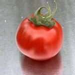 IMG_6507.jpeg