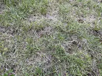 IMG_8197.webp