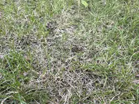 IMG_8198.webp