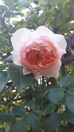 20230617_205557.webp