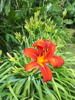 20230703_140322.jpg