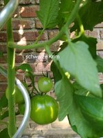 IMG_20230704_093654.jpg