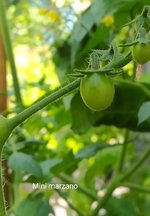 IMG_20230704_093150.jpg