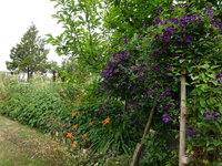 DSC03079.JPG