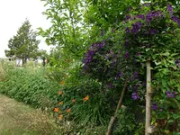 DSC03079.JPG