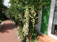 DSC03082.JPG
