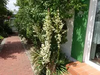 DSC03082.JPG