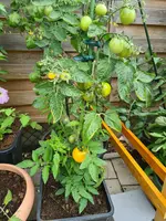 20230704_101910.webp