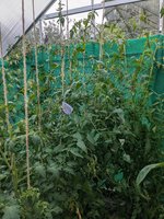 PXL_20230704_181530650.jpg