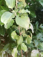 IMG_20230704_204152.jpg