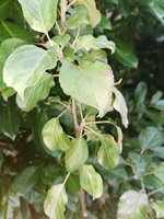 IMG_20230704_204152.jpg