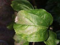 IMG_20230704_204101.jpg