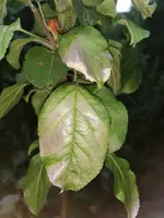 IMG_20230704_204117.jpg