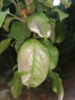 IMG_20230704_204117.jpg