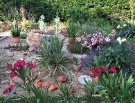 IMG_1043.JPG