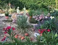 IMG_1043.webp