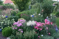 Juli         0623.webp